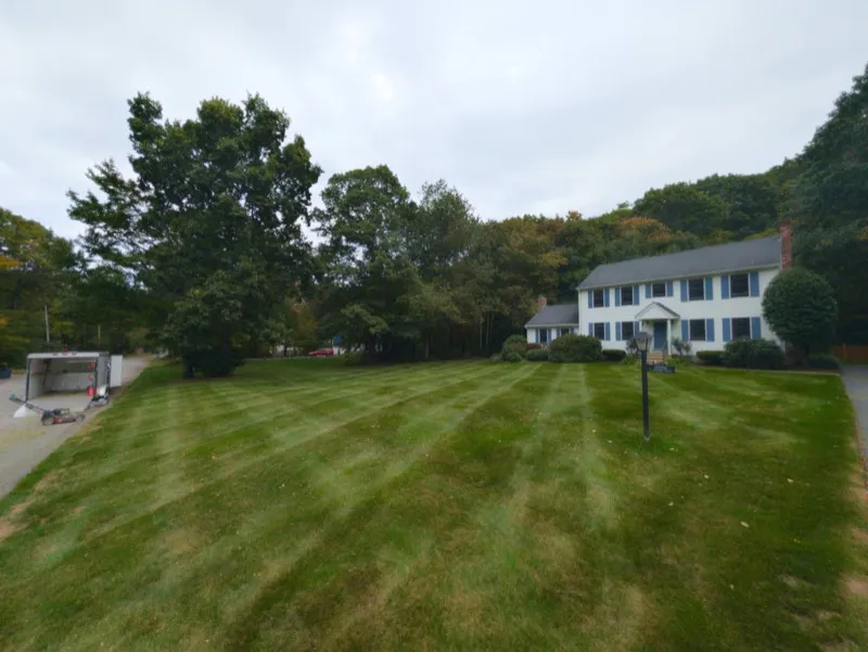 Large front lawn mowed in stripes in front of a white colonial